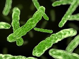 Image result for http://dramarnathgiri.blogspot.in/