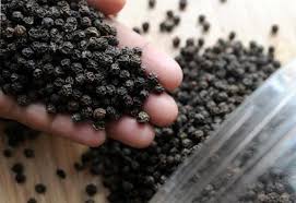 Image result for black pepper in hindi