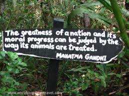 Zoos | Animal Sanctuary | South &amp; Central America via Relatably.com
