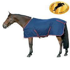 Image result for CHAMPION JOINTING SHEET