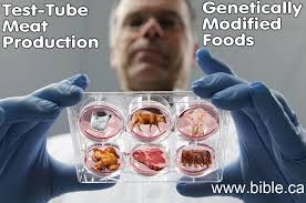 Test tube meat production, genetically modified foods, soya beans, corn, chicken, pork, beef, soya oils. click to view. EARLY LIGHT ON A MODERN DEVELOPMENT - testtube-meat-production-genetically-modified-food