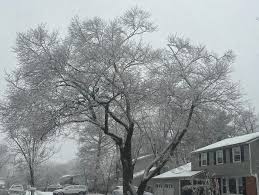 See the snowstorm change the landscape as it arrives in South Jerseys