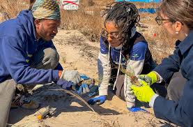 Jamaica Bay and Rockaway Parks are Blossoming for Earth Day