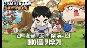 강원기 - 메이플 키우기 확률 조작 논란, 넥슨 전액 환불 및 책임 경영체제 전환 (환불 정책, 경영 리더십)