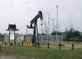 Hasil gambar untuk pengeboran minyak riau
