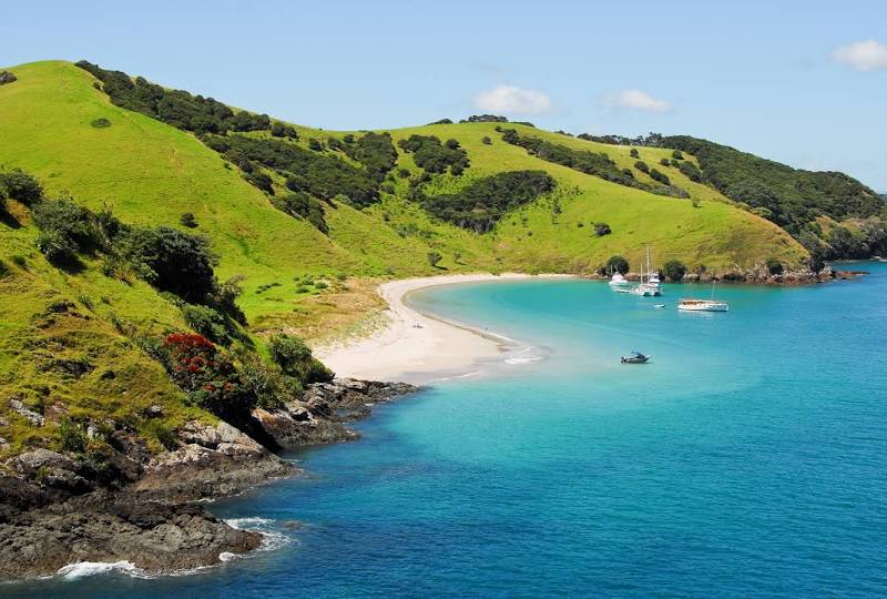 Bay Of Islands