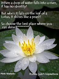 Thought for the day;When a drop of water falls into a river ... via Relatably.com