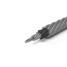 Evolution Q810V