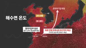 YTN - News update