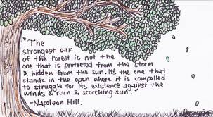 Witty Quotes &amp; Sayings Images : Page 54 via Relatably.com