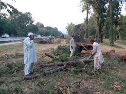 Associated Press of Pakistan - News update