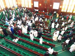 Image result for nigerian federal and state legislators