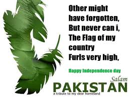 Salaam Pakistan Happy Independence Day | Inspiring Quotes ... via Relatably.com