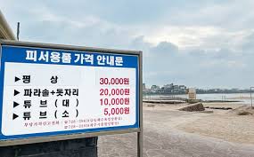 네이트 뉴스 - News update