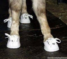 Image result for minature horse shoes