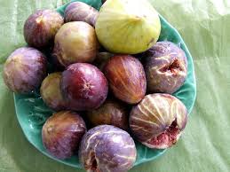 Risultati immagini per fico brogiotto