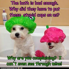 Δεν μας αρέσει το μπάνιο!