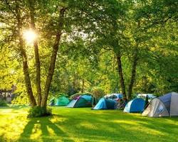 Image of Pine Forest Camp, Jawa Barat