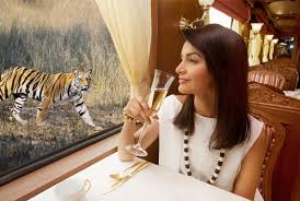 Image result for articles on irctc tiger express