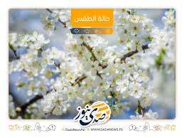 وكالة صدى نيوز - News update
