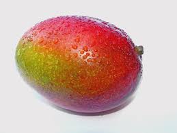 Resultado de imagen de fotos mango