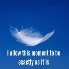 Martha Beck Inspirations on Pinterest | Book, Flipping and ... via Relatably.com