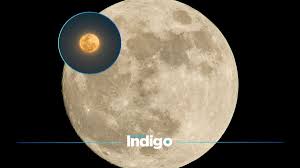 Calendario astronómico noviembre 2026: fechas para no perderte la Luna del Castor, lluvia de meteoros y otros fenómenos
