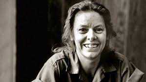 Maybe Leo Pittman, an abusive man, beat Diane Pittman while she was pregnant causing fetal damage. Aileen Wuornos was perhaps one of the most psychically ... - 81979_max