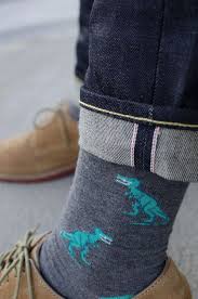 Résultat de recherche d'images pour "dinosaur socks"
