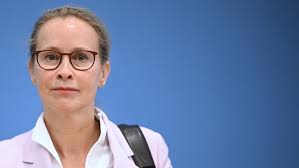 Plagiatsvorwürfe gegen Richterkandidatin Brosius-Gersdorf erneut im Fokus