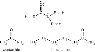 Image result for amides IUPAC