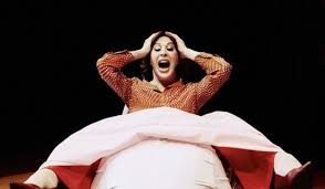 Com Claudia Raia e Jarbas Homem de Mello, Cenas da Menopausa chega a Natal em curtíssima temporada