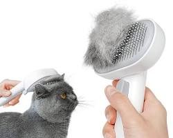 Cat brushの画像