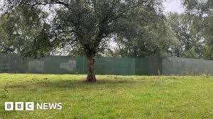 BBC - News update