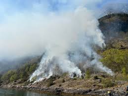 Skogbrann : ce qu'il faut savoir — image 5