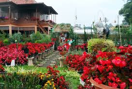 Hasil gambar untuk foto wisata bandung utara