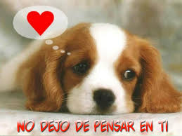 Resultado de imagen para postales de amor