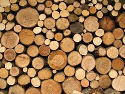 Znalezione obrazy dla zapytania log