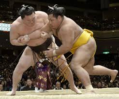 Hasil gambar untuk sumo