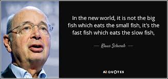 Image result for "small fish quotations
