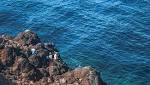 Hermanus fisherman swept rocks