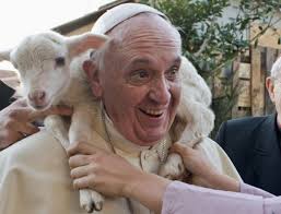 Resultado de imagem para papa francisco