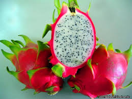 Resultado de imagem para pitaya fruta