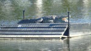 Clima en Tampico: pronóstico caluroso para este lunes 13 de abril