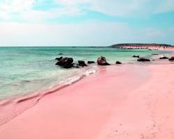 Pink Sand Beach, Harbour Island, Bahamas beach