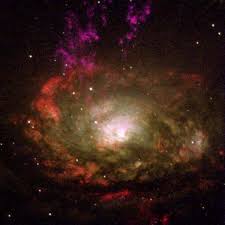 Image result for circinus galaxy