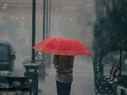 Kerala Rains: Heavy rains in parts of Kerala; IMD issues orange alert in 3 districts