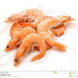 Prawn