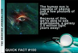 Image result for amazing facts about the human body