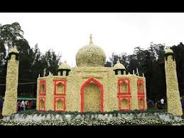 Image result for ooty botanical garden flower show 2015